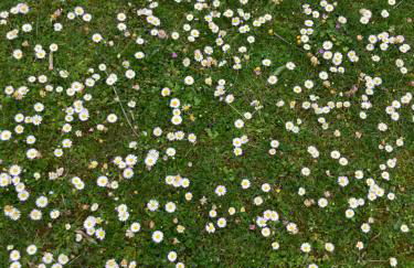 Casale el galet - Foto 64