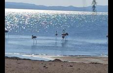 Angel's Houses - Foto 1