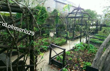 Appartement Studio Chanoine - Photo 14