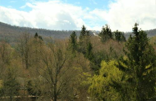 Townhouse W Private Deck & Mt View - Foto 70