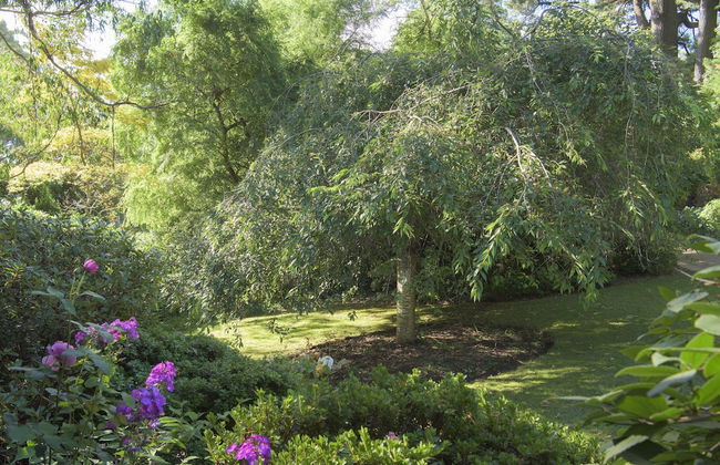 Botanica Retreat - Village Spa & Stay - Foto 21