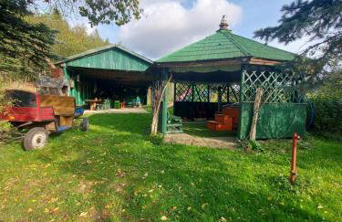 Agroturystyka Zielone Wzgorze - Foto 58