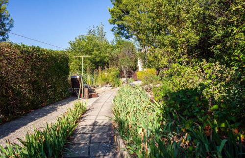 Les Oiseaux - Photo 21