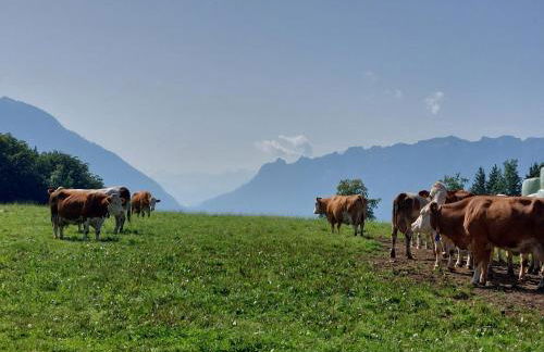 Fuchsbauernhof - Foto 17