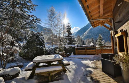 Le Noisetier - Mini Chalet 2 pers - 2min la Clusaz - AravisTour - Photo 17