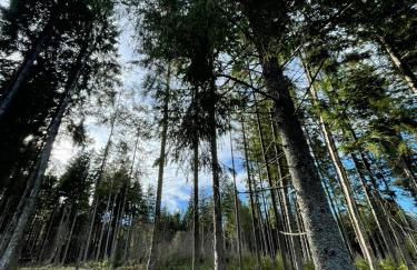 GADD Ferienwohnung # 002 Glück an der Donau # Best Elegant Suite 24#7 Check in - Foto 62