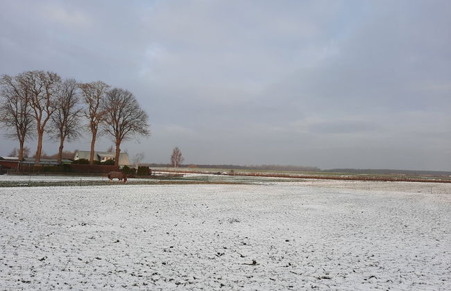Ferienwohnung auf Insel Poel - Foto 39