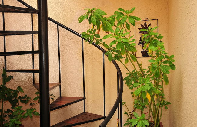 Bradclin House - Foto 63