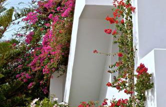 Porto Kalma - Photo 27