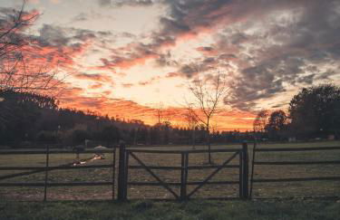 Vale da Silva Villas - Quinta - Foto 22