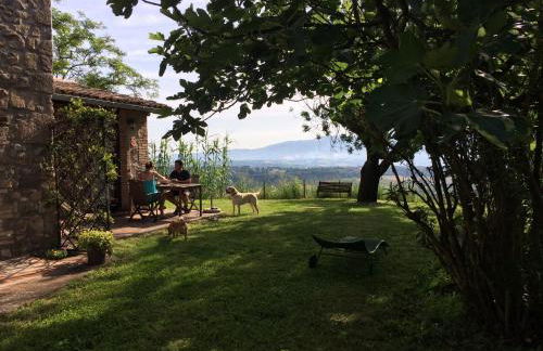 Podere Porcino - Foto 9