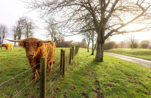 The Lodge House - By Elie - Foto 66