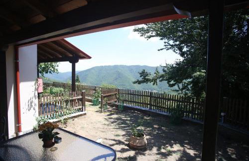 Boletus MushROOM - Foto 19