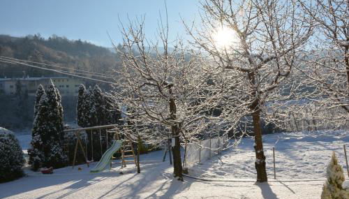 Gartenhof - Foto 4, Garden