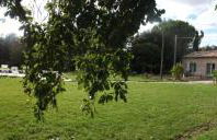 Tenuta del Viandante - Foto 31