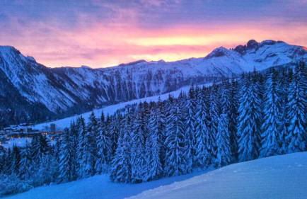 L Édelweiss et sa piscine - Foto 45