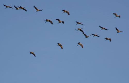 Pongratz Comfortable holiday residence - Foto 16