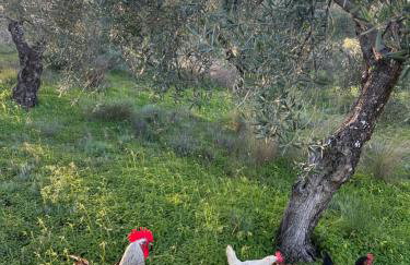 La colina buena - cosy casita for nature lovers - Foto 25