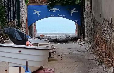 Dal Professore - Foto 5