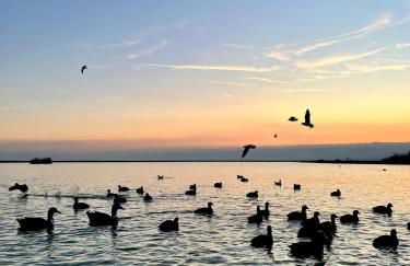 "Indaloo" apartment for couples, Para parejas solamente, EXCEPTIONAL! Vera Playa, Vera Costa, 200 m from the Las Marinas beach - Foto 38