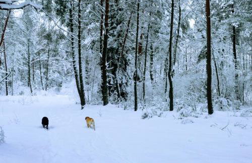Podlaskie Żuczki - Foto 25