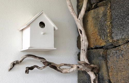 Casa da Arquinha - Photo 73