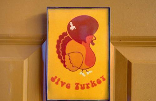 Retro 1970's Rollercoaster House 5 Mins from Cedar Point - Photo 25