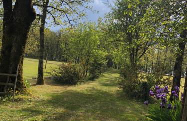 Les fontanelles du quercy blanc - Foto 35