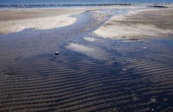 Longshore Drift - Foto 18