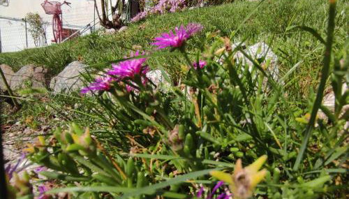 Casa Gaudia - Foto 5