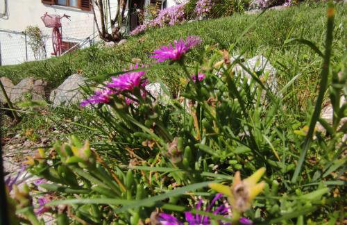 Casa Gaudia - Foto 5