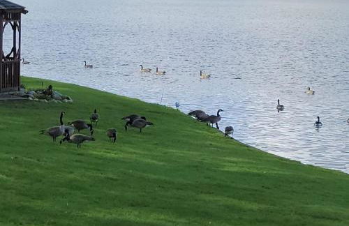 Large 1 BR Cottage, KING BED on the Lake - Foto 21