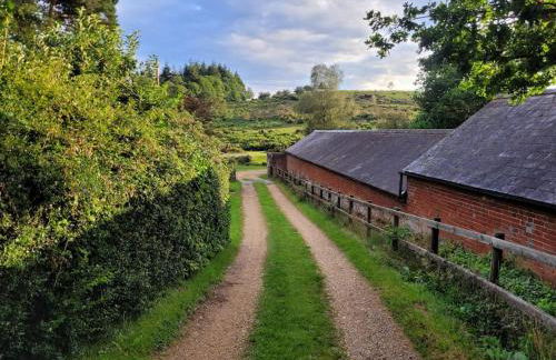 Little Apples - Foto 29