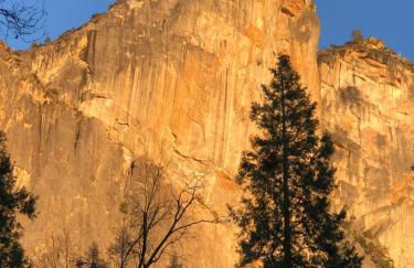 Bear Paw Cabin new construction near Yosemite - Foto 22