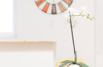 Ravissant Triplex et Duplex au Centre de Pont St Esprit - Foto 37