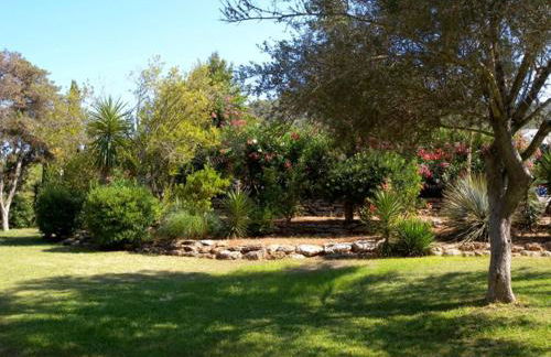 Siesta Mar Apartamentos Ibiza - Foto 32