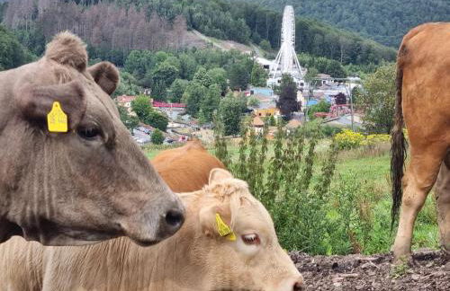 Ferienhaus mit Ausblick - Foto 18
