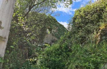 Casa Maria da Eira - Foto 34