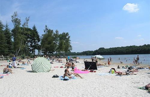 Gîte de l'Alisier - Rambouillet - - Foto 29