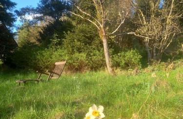 Fichtenloft - Foto 8