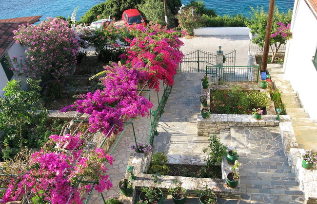 Stella Hotel Apartments - Foto 41