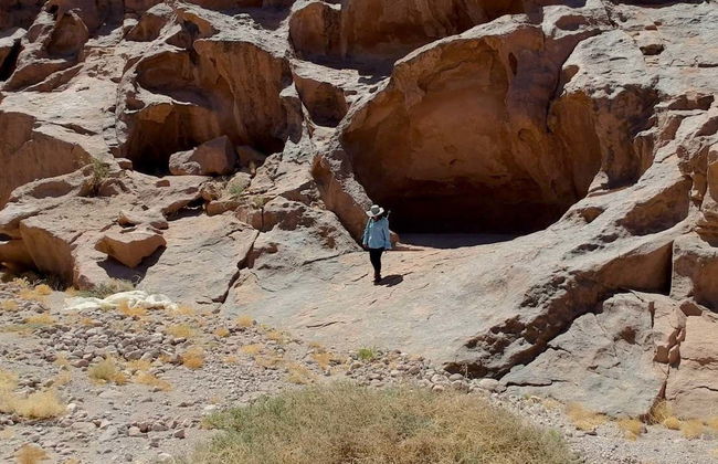 Day Trip to the Huasco Salt Flats + Tambillo - Photo 5