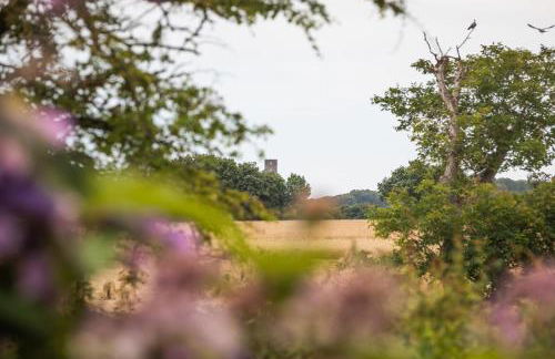 18th Century Cottage in Dorset Countryside - Foto 23