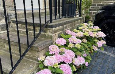 Ilkley Garden Suite - Photo 12