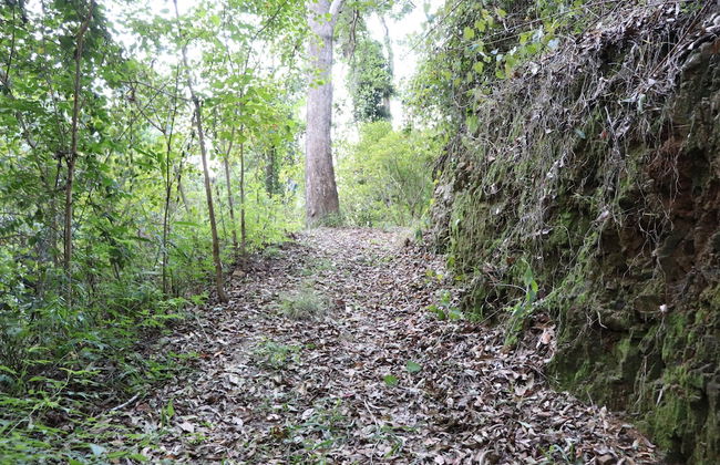 Bellthorpe Stays - Foto 34