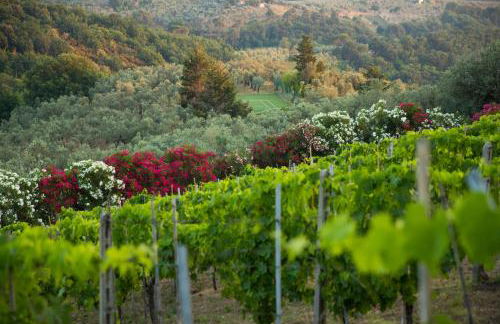 Casa Vacanze Casa Italia - Foto 27