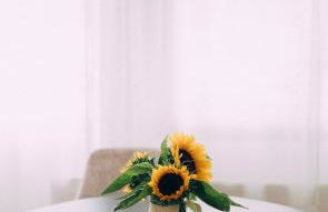 Hausboot fünf19 - Foto 18