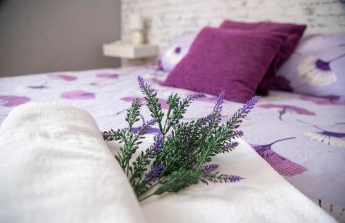 Casa Melchor - Photo 28