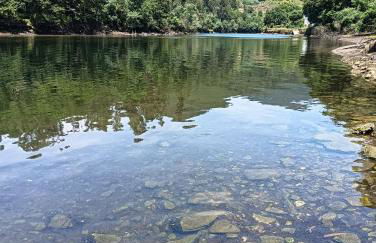 A Parrula, Mar, río y montaña - Foto 31