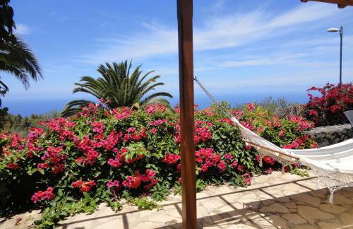 Casas Erel - Foto 12